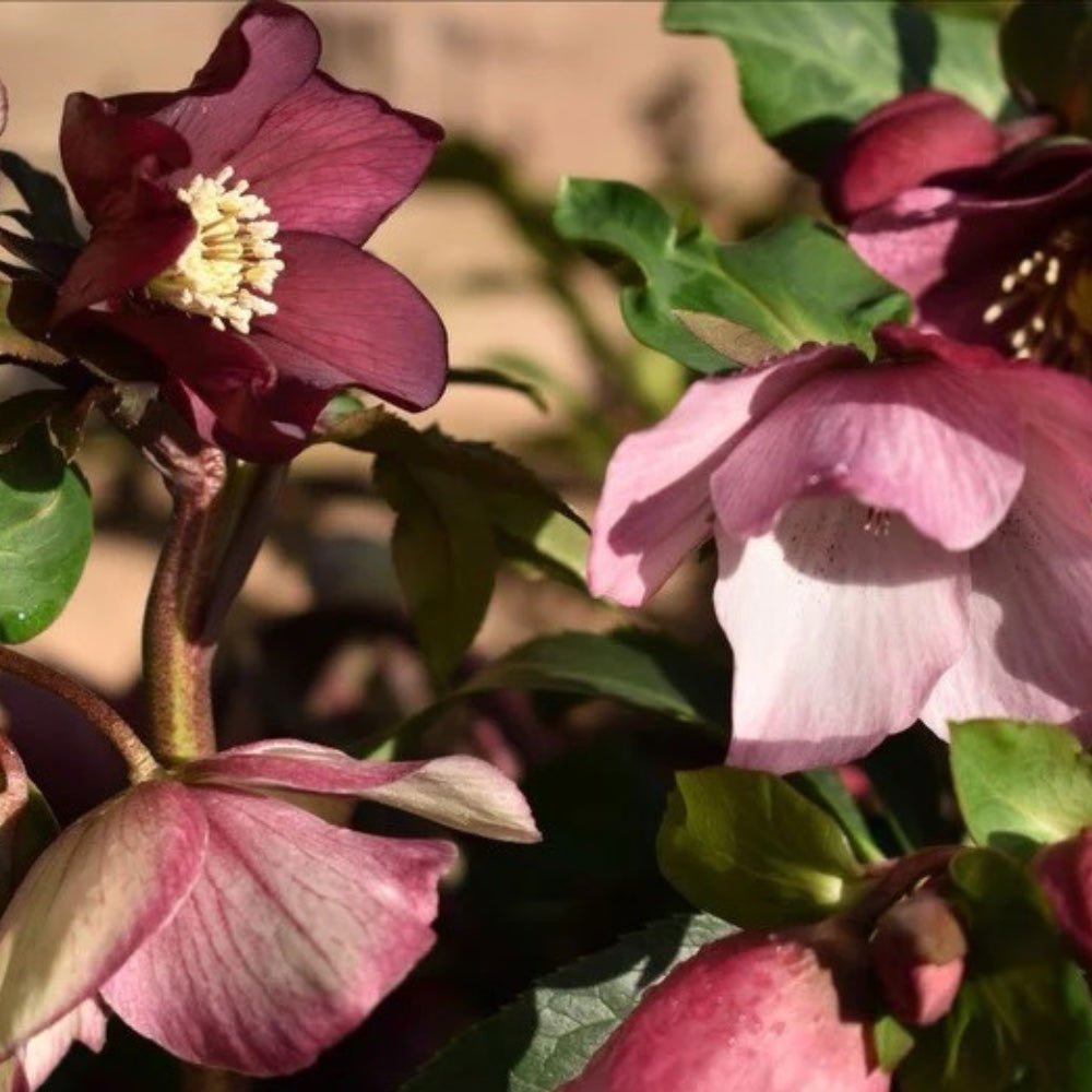 How to Create a Wildlife-Friendly Garden in Oxfordshire