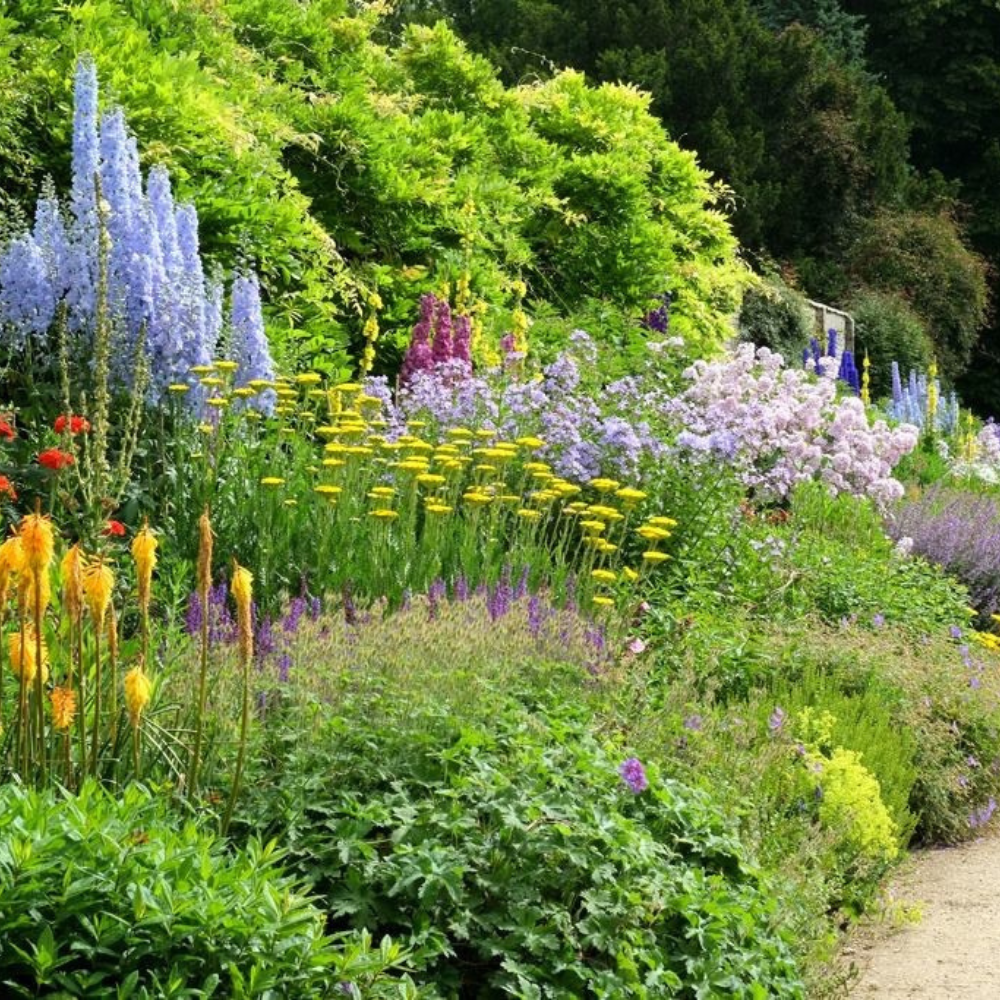 Easy Ways to Add Colour to Your Garden in April