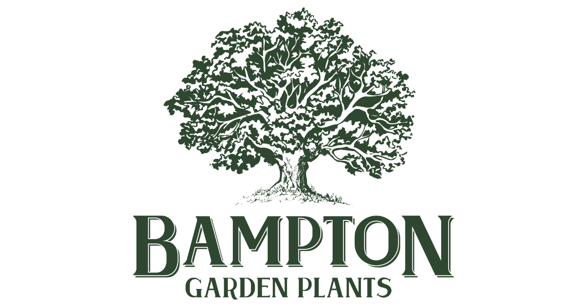 Bampton Garden Plants