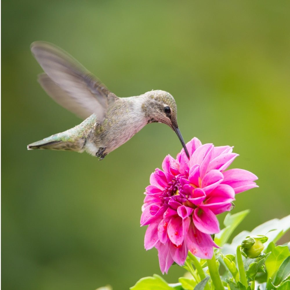 How to Create a Wildlife-Friendly Garden in Oxfordshire