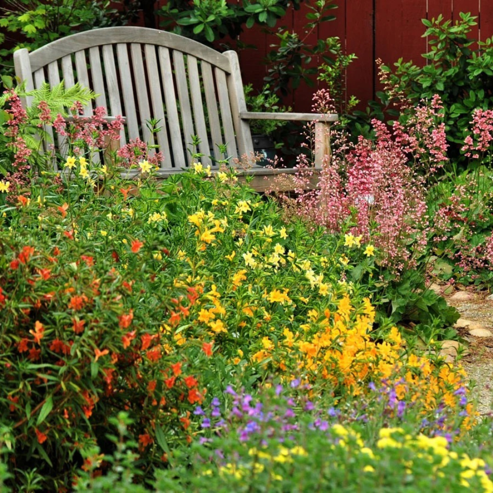 The Best Pollinator-Friendly Plants for Spring Gardens